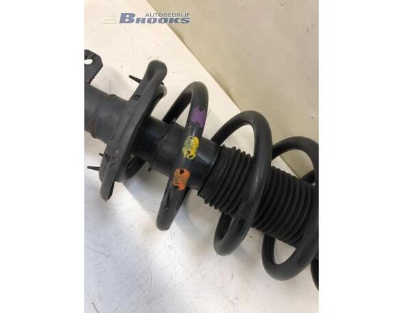 Suspension Strut FORD TRANSIT Bus (FD_ _, FB_ _, FS_ _, FZ_ _, FC_ _), FORD TRANSIT V363 Bus (FAD, FBD)