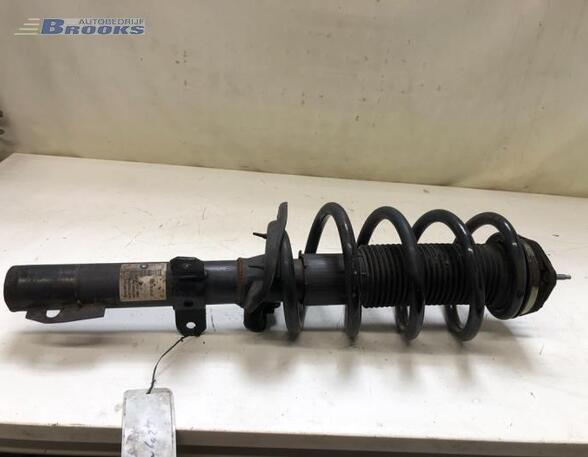 Suspension Strut FORD TRANSIT Bus (FD_ _, FB_ _, FS_ _, FZ_ _, FC_ _), FORD TRANSIT V363 Bus (FAD, FBD)