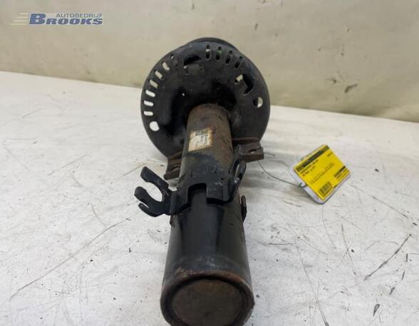 Suspension Strut SEAT IBIZA IV (6J5, 6P1)