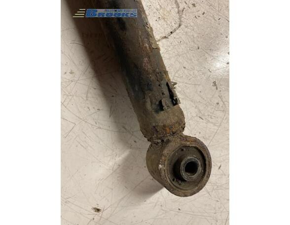 Shock Absorber SEAT LEON (1M1)