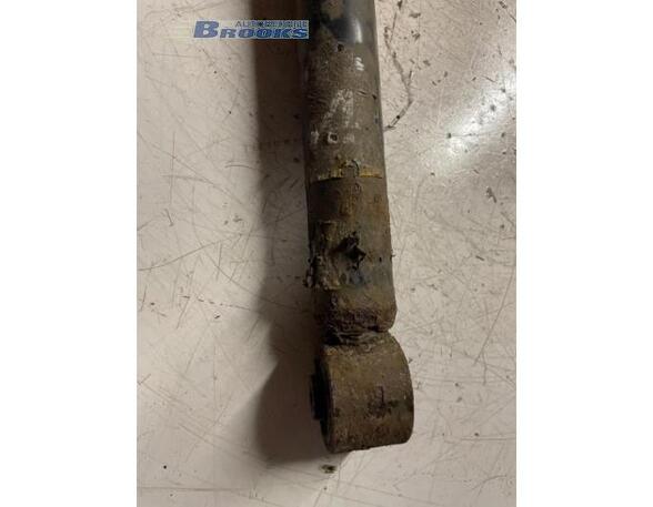 Shock Absorber SEAT LEON (1M1)