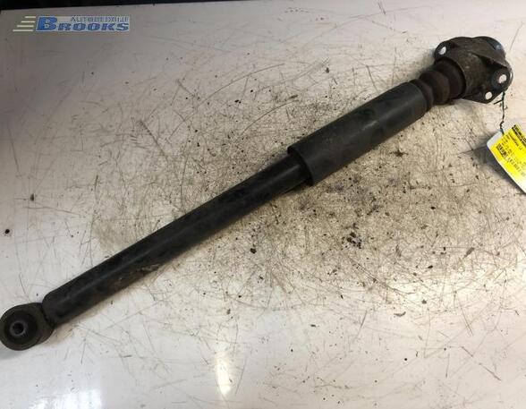 Shock Absorber SEAT LEON (1M1)