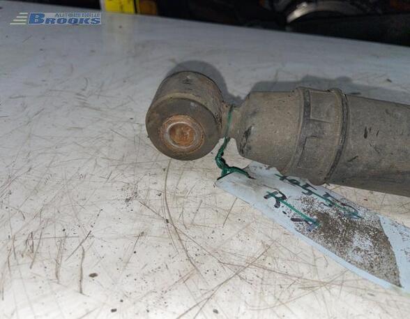 Shock Absorber RENAULT KANGOO Express (FC0/1_)