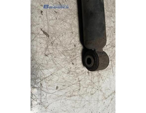 Shock Absorber RENAULT KANGOO Express (FC0/1_)