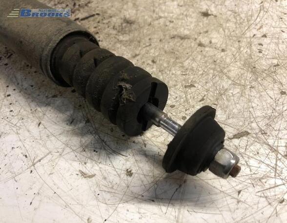 Shock Absorber RENAULT MODUS / GRAND MODUS (F/JP0_)