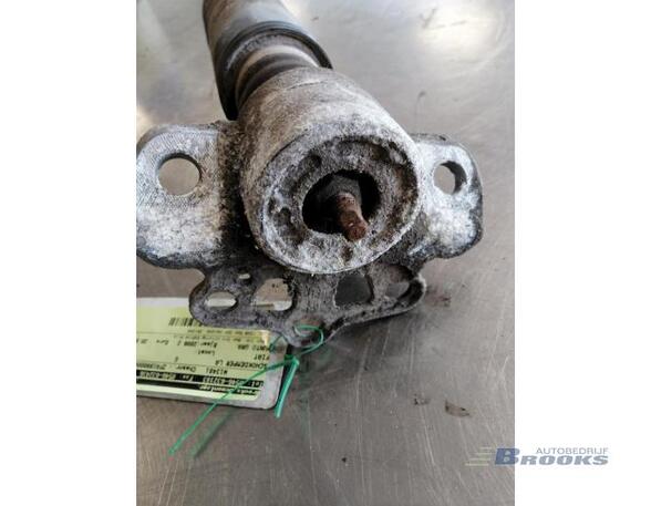 Shock Absorber FIAT GRANDE PUNTO (199_), FIAT PUNTO EVO (199_)