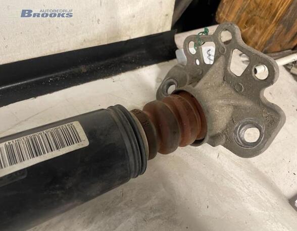 Shock Absorber FIAT GRANDE PUNTO (199_), FIAT PUNTO (199_), FIAT PUNTO EVO (199_)