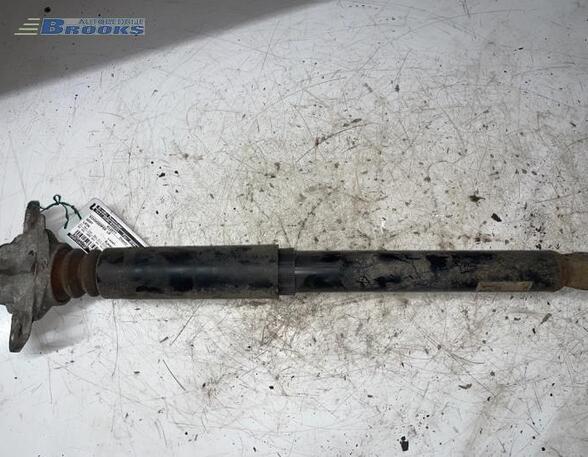 Shock Absorber SEAT LEON (1P1)