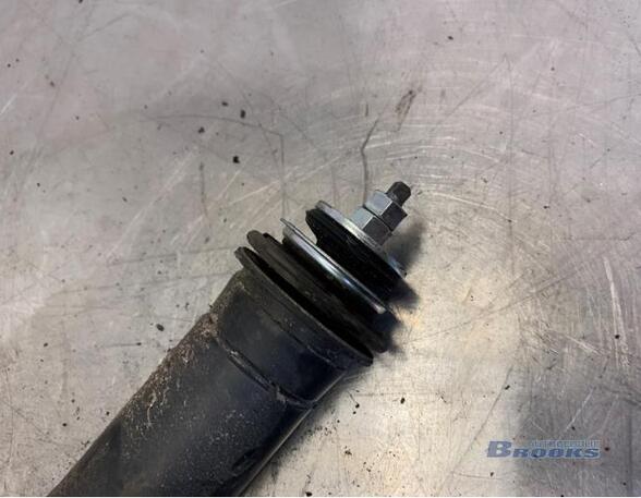 Shock Absorber PEUGEOT 107 (PM_, PN_), CITROËN C1 (PM_, PN_)