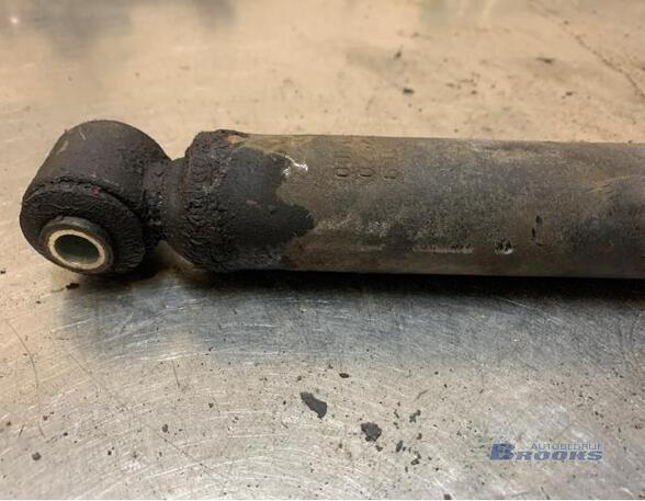 Shock Absorber FORD KA (RU8), FIAT PANDA (169_)