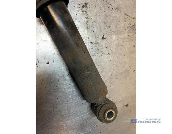 Shock Absorber FORD KA (RU8), FIAT PANDA (169_)