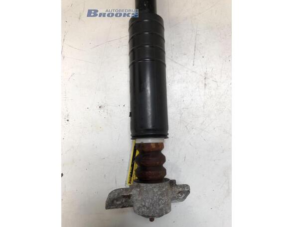 Shock Absorber FIAT GRANDE PUNTO (199_), FIAT PUNTO (199_), FIAT PUNTO EVO (199_), ABARTH GRANDE PUNTO