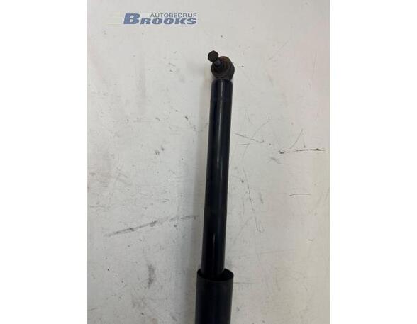 Shock Absorber VW POLO (6R1, 6C1), VW POLO Van (6R), VW POLO (9N_), SKODA FABIA II Combi (545)