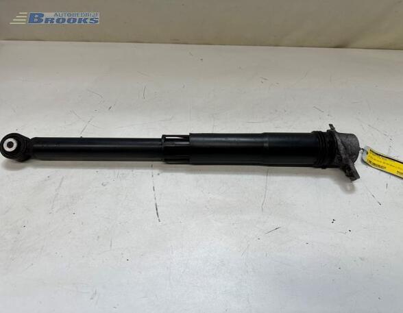 Shock Absorber VW GOLF VII (5G1, BQ1, BE1, BE2)