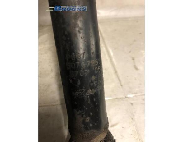 Shock Absorber FIAT BRAVO II (198_)