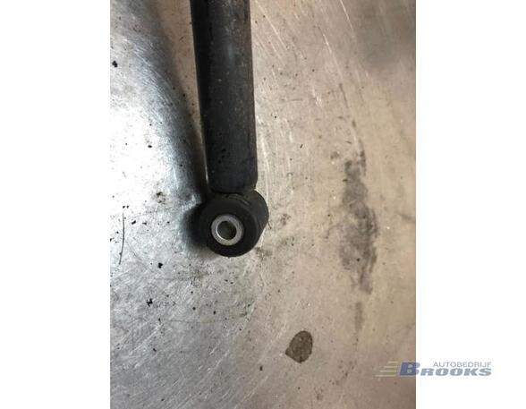 Shock Absorber FORD FIESTA VI (CB1, CCN)