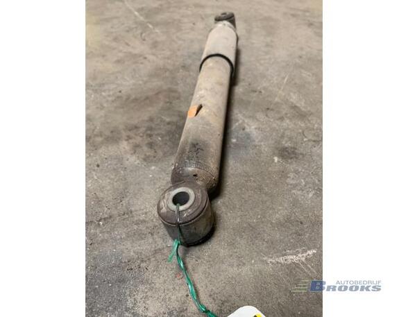 Shock Absorber RENAULT KANGOO Express (FC0/1_)