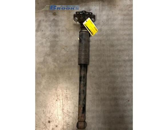 Shock Absorber FIAT GRANDE PUNTO (199_)