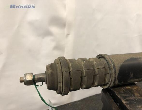 Shock Absorber RENAULT TWINGO II (CN0_)