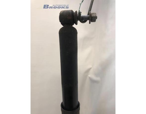 Shock Absorber RENAULT MEGANE III Grandtour (KZ0/1)