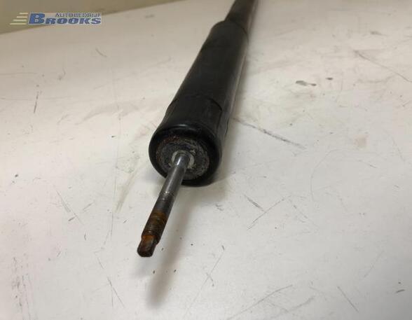 Shock Absorber SUZUKI SX4 (EY, GY), SUZUKI SX4 Saloon (GY, RW)