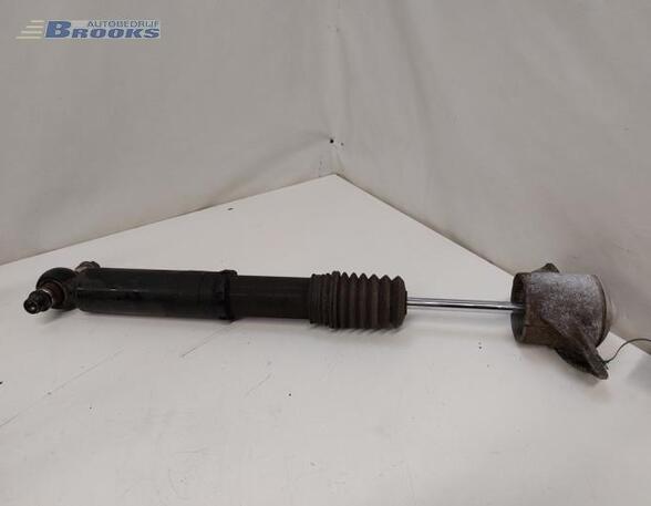 Shock Absorber AUDI A5 (F53, F5P)