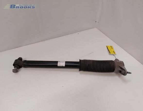 Shock Absorber TESLA MODEL 3 (5YJ3)