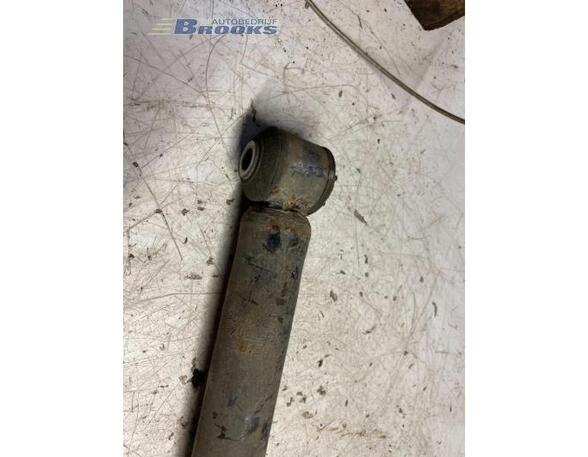 Shock Absorber FIAT GRANDE PUNTO (199_), FIAT PUNTO (199_), FIAT PUNTO EVO (199_)