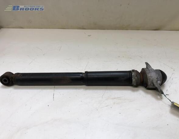 Shock Absorber VW GOLF V (1K1), AUDI A3 (8P1), AUDI A3 Sportback (8PA), VW GOLF VI (5K1)