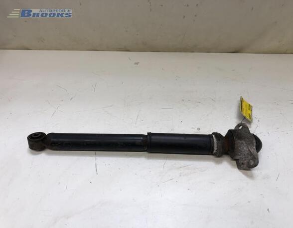 Shock Absorber VW GOLF V (1K1), AUDI A3 (8P1), AUDI A3 Sportback (8PA), VW GOLF VI (5K1)