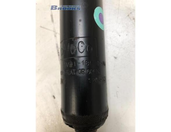 Shock Absorber FORD FIESTA VI (CB1, CCN)