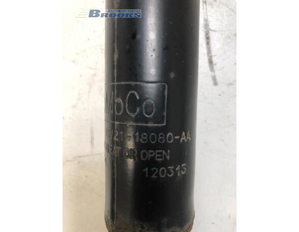 Shock Absorber FORD FIESTA VI (CB1, CCN)