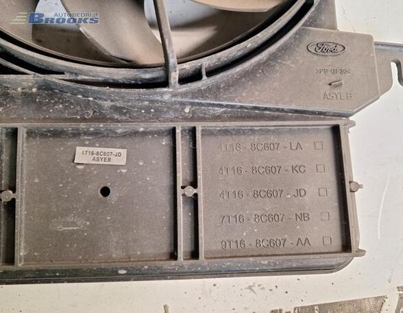 Interior Blower Motor FORD TRANSIT CONNECT (P65_, P70_, P80_)