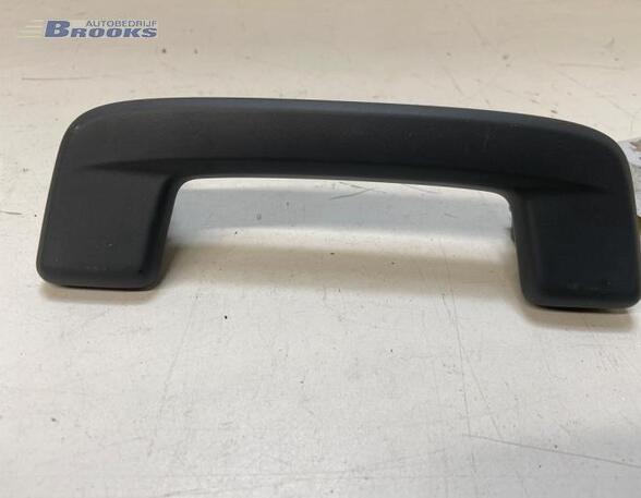 Grab Handle AUDI Q4 SUV (F4B)