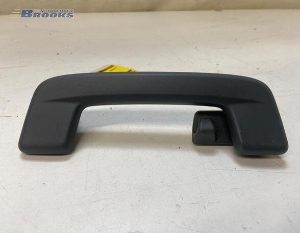 Grab Handle AUDI Q4 SUV (F4B)