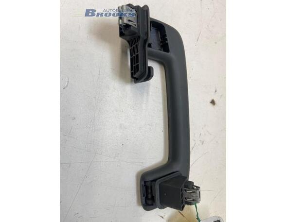 Grab Handle AUDI Q4 SUV (F4B)