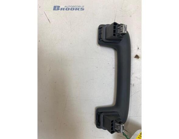 Grab Handle AUDI Q4 SUV (F4B)