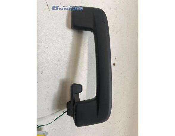 Grab Handle AUDI Q4 SUV (F4B)