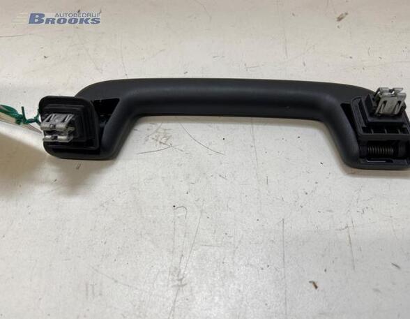 Grab Handle AUDI E-TRON (GEN)