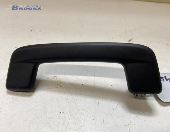 Grab Handle AUDI E-TRON (GEN)