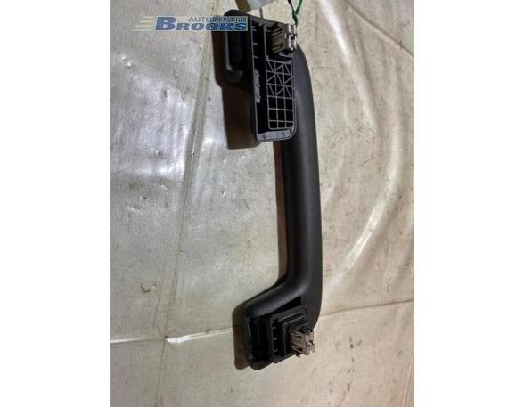 Grab Handle AUDI E-TRON (GEN)