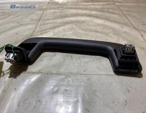 Grab Handle AUDI E-TRON (GEN)