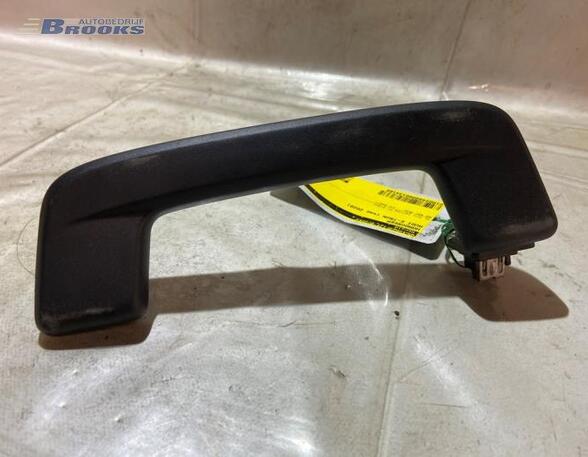 Grab Handle AUDI E-TRON (GEN)