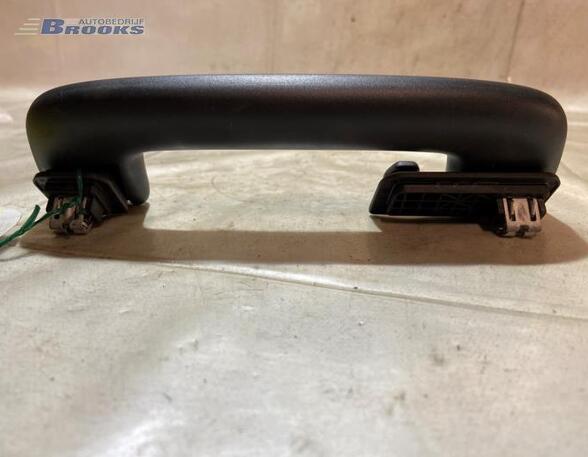 Grab Handle AUDI E-TRON (GEN)