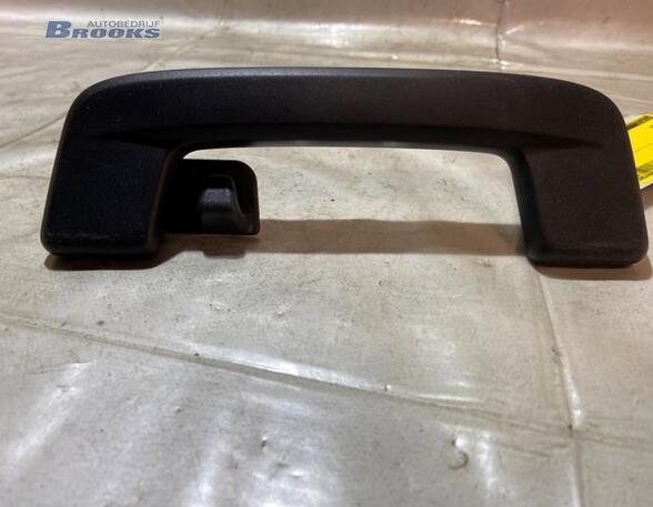 Grab Handle AUDI E-TRON (GEN)