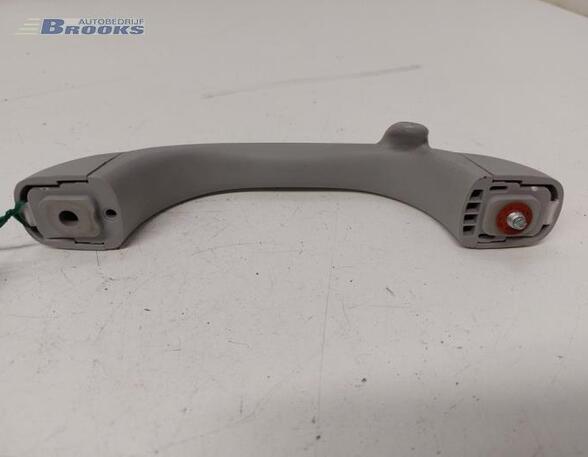 Grab Handle HYUNDAI i10 II (BA, IA)