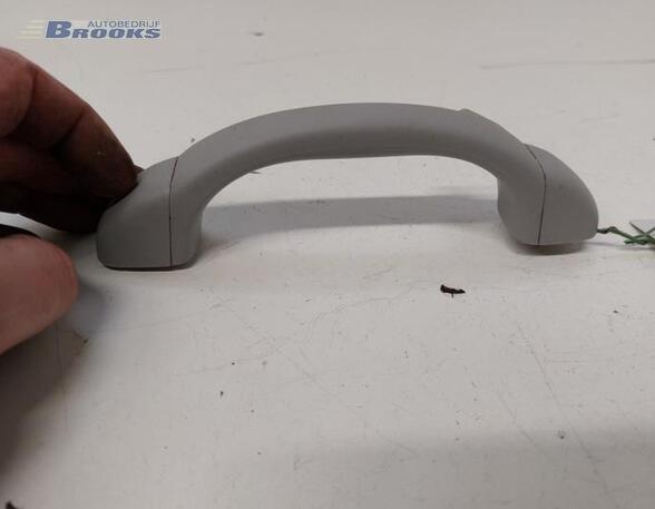 Grab Handle HYUNDAI i10 II (BA, IA)