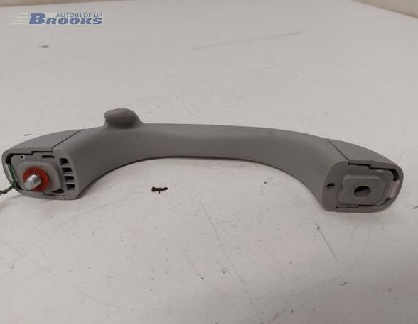 Grab Handle HYUNDAI i10 II (BA, IA)