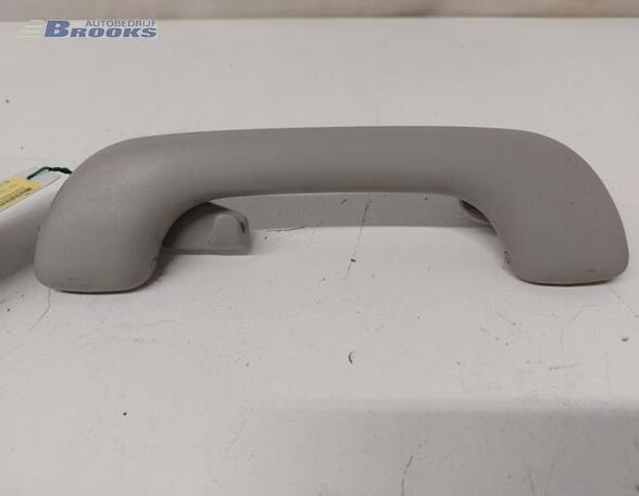 Grab Handle RENAULT CLIO IV (BH_), RENAULT CAPTUR I (J5_, H5_), RENAULT CLIO III (BR0/1, CR0/1)