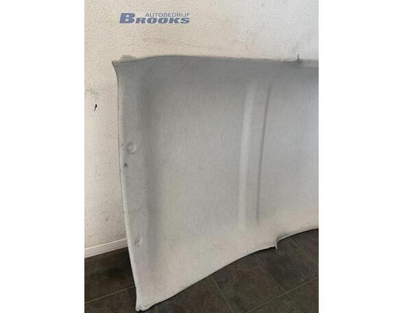 Front Interior Roof Trim Panel PEUGEOT 107 (PM_, PN_)